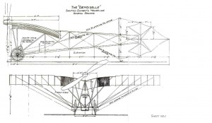 Demoiselle Drawing